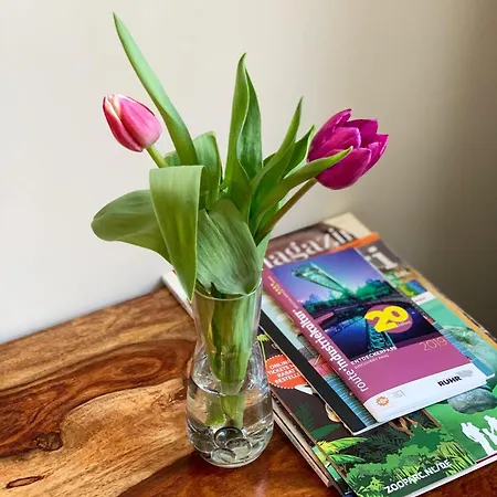 Restaurant Zum Loewen Hotel 2*