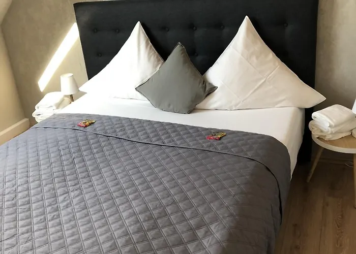 Restaurant Zum Loewen 호텔 2*